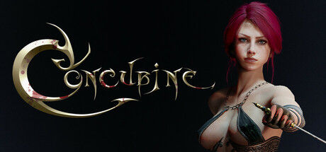 后宫/妾/Concubine