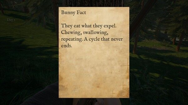 兔子投射/Bunny Hurling 截图
