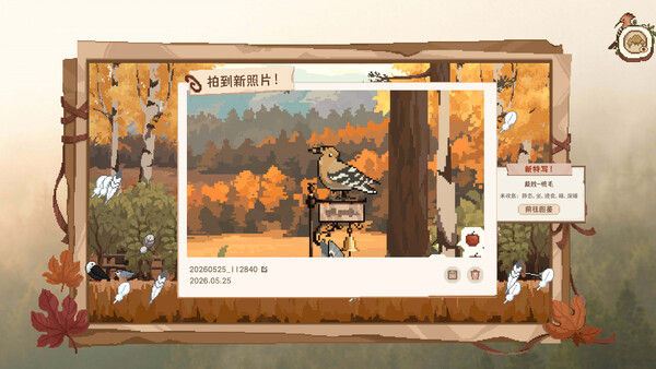 观鸟笔记 截图