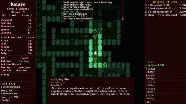 Shadowed: The Demon Castle of Ooe 截图