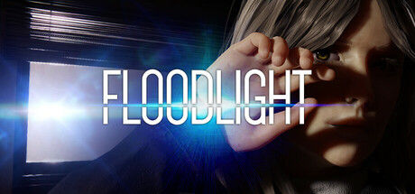 泛光灯/Floodlight 截图