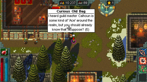 锤子守望英雄/Heroes of Hammerwatch 截图