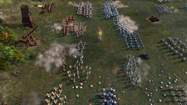Age of Empires IV: Knights of Cross and Rose 截图