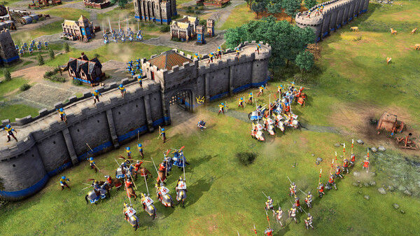 Age of Empires IV: Knights of Cross and Rose 截图