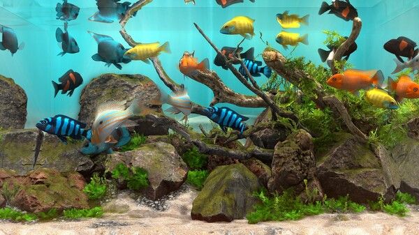 玻璃背后：水族馆模拟器/Behind Glass: Aquarium Simulator 截图
