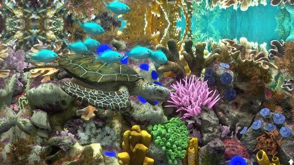 玻璃背后：水族馆模拟器/Behind Glass: Aquarium Simulator 截图