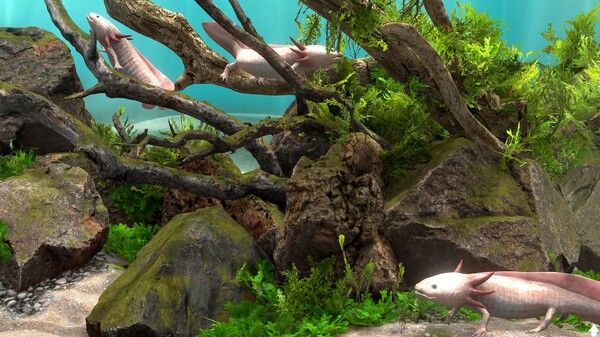 玻璃背后：水族馆模拟器/Behind Glass: Aquarium Simulator 截图