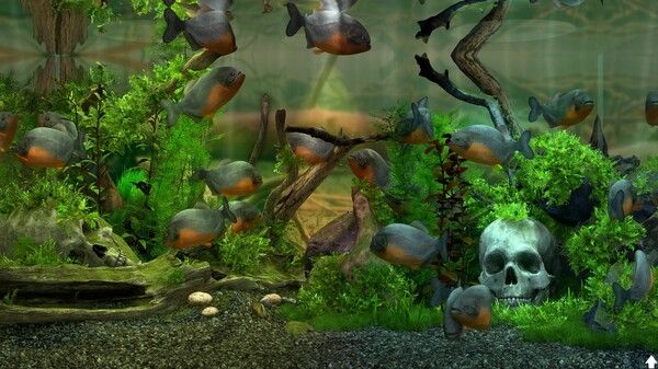 玻璃背后：水族馆模拟器/Behind Glass: Aquarium Simulator 截图