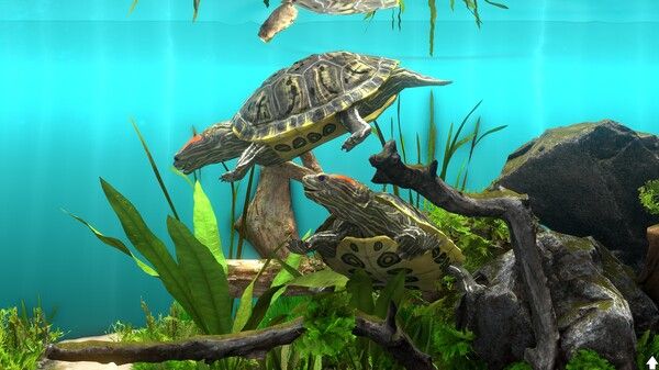 玻璃背后：水族馆模拟器/Behind Glass: Aquarium Simulator 截图
