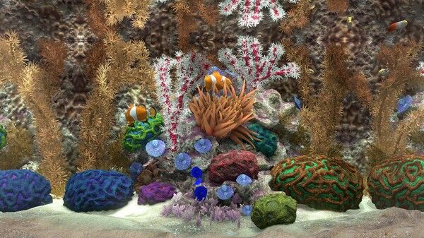 玻璃背后：水族馆模拟器/Behind Glass: Aquarium Simulator 截图
