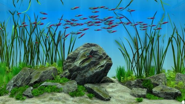 玻璃背后：水族馆模拟器/Behind Glass: Aquarium Simulator 截图