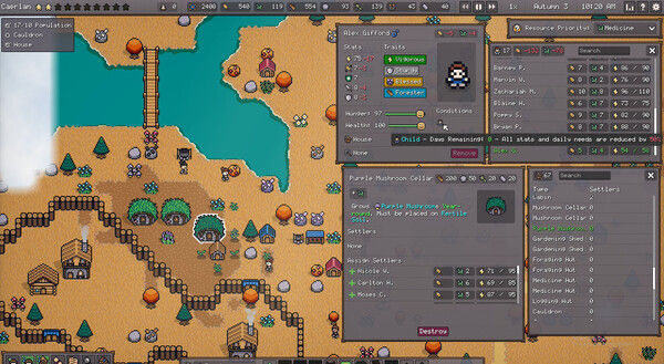 Settler's Domain 截图