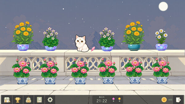 花开猫来 截图
