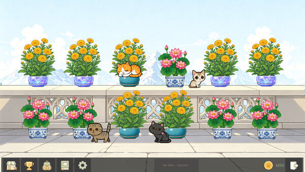花开猫来 截图
