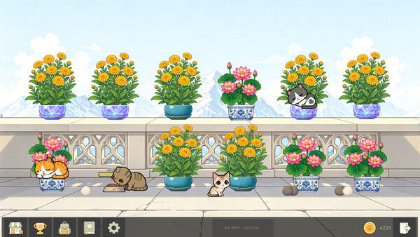 花开猫来 截图