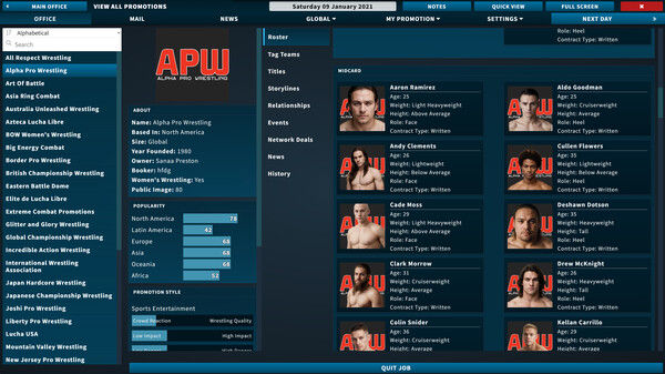 Pro Wrestling Sim 截图