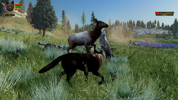 野狼谜踪：周年纪念版/WolfQuest: Anniversary Edition 截图