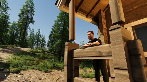 芬兰小屋模拟器/Finnish Cottage Simulator 截图