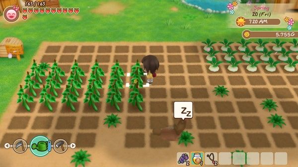 牧场物语：重聚矿石镇/STORY OF SEASONS: Friends of Mineral Town 截图