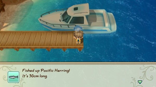 牧场物语：重聚矿石镇/STORY OF SEASONS: Friends of Mineral Town 截图