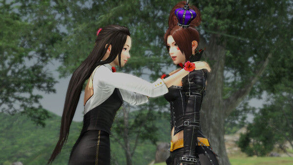 战国无双4DX/SAMURAI WARRIORS 4 DX 截图