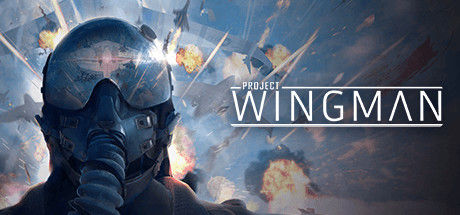 僚机计划/Project Wingman 截图