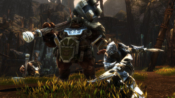 阿玛拉王国：惩罚重制版/Kingdoms of Amalur: Re-Reckoning 截图
