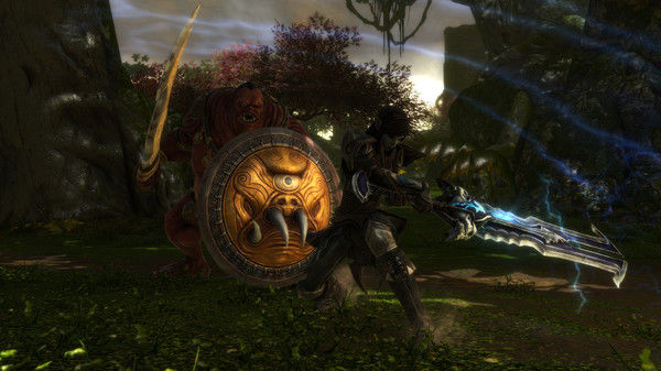 阿玛拉王国：惩罚重制版/Kingdoms of Amalur: Re-Reckoning 截图