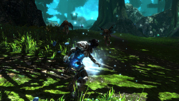 阿玛拉王国：惩罚重制版/Kingdoms of Amalur: Re-Reckoning 截图