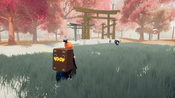 Torii 截图