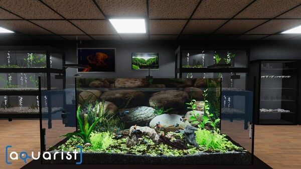 Aquarist - 建造水族馆，繁殖鱼类，拓展你的业务! 截图