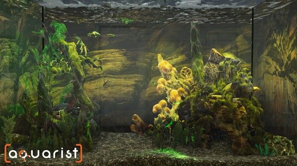 Aquarist - 建造水族馆，繁殖鱼类，拓展你的业务! 截图