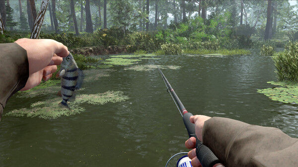 专业钓鱼2/Professional Fishing 2 截图