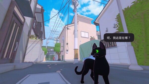 小猫咪大城市 截图