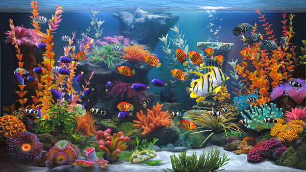 禅意水族馆/Zen Aquarium 截图