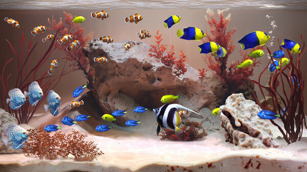 禅意水族馆/Zen Aquarium 截图