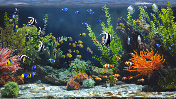 禅意水族馆/Zen Aquarium 截图