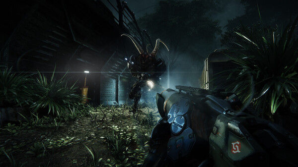孤岛危机3：重制版/Crysis 3 Remastered 截图
