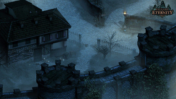 永恒之柱/Pillars of Eternity 截图