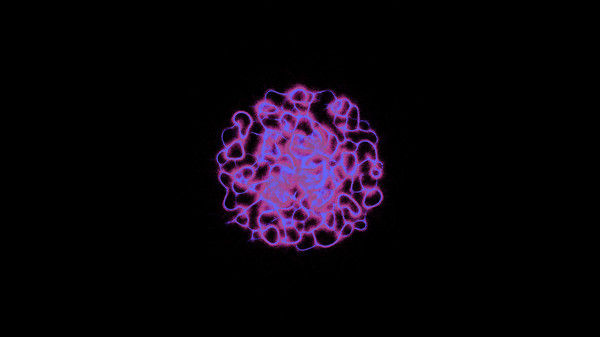 PHYSARUM: Slime Mold Simulator 截图