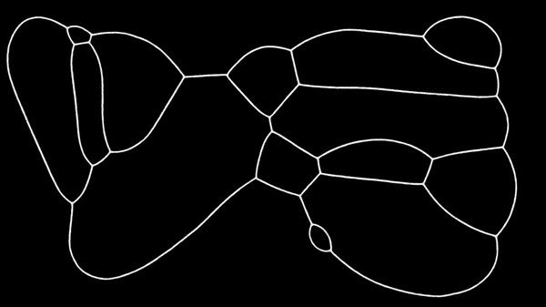 PHYSARUM: Slime Mold Simulator 截图