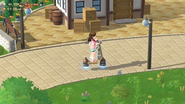 Harvest Moon®: Home Sweet Home Special Edition 截图