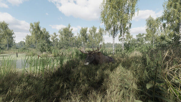 On the Hunt 截图