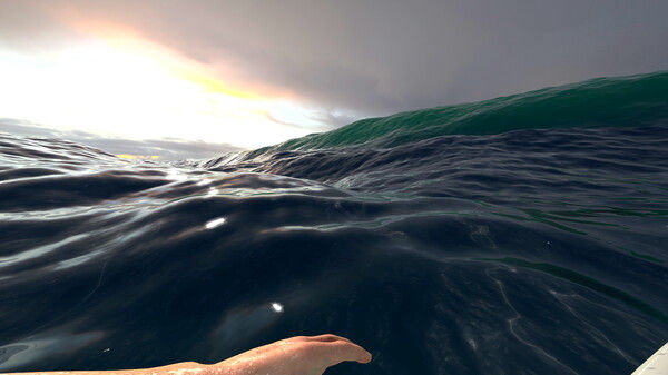 Virtual Surfing 截图
