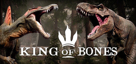 骨之王者/King of Bones 截图