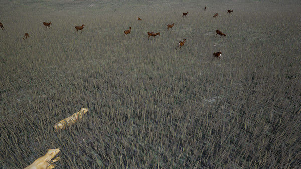Survivalizm - The Animal Simulator 截图