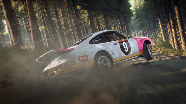 尘埃拉力赛2.0/DiRT Rally 2.0 截图