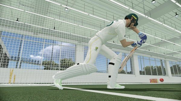 板球22/Cricket 22 截图