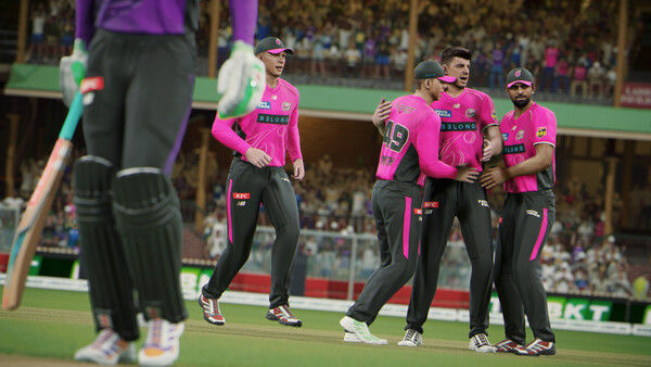 板球26/Cricket 26 - The Official Game of the Ashes 截图