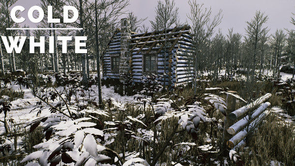 冷白/The Cold White 截图